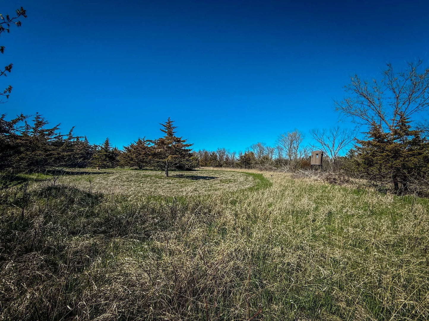 xxx County 14 Boulevard, Cannon Falls, MN 55009
