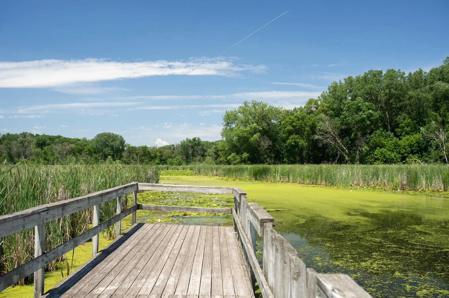 20056 66th Place, Corcoran, MN 55340