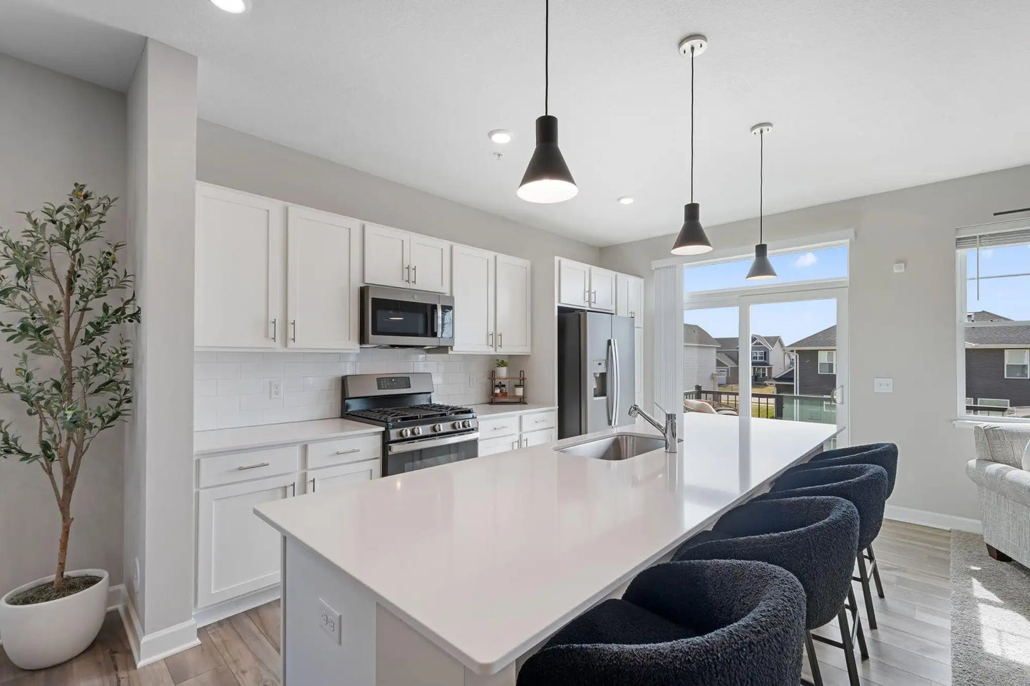 441 Murray Hill Way, Waconia, MN 55387