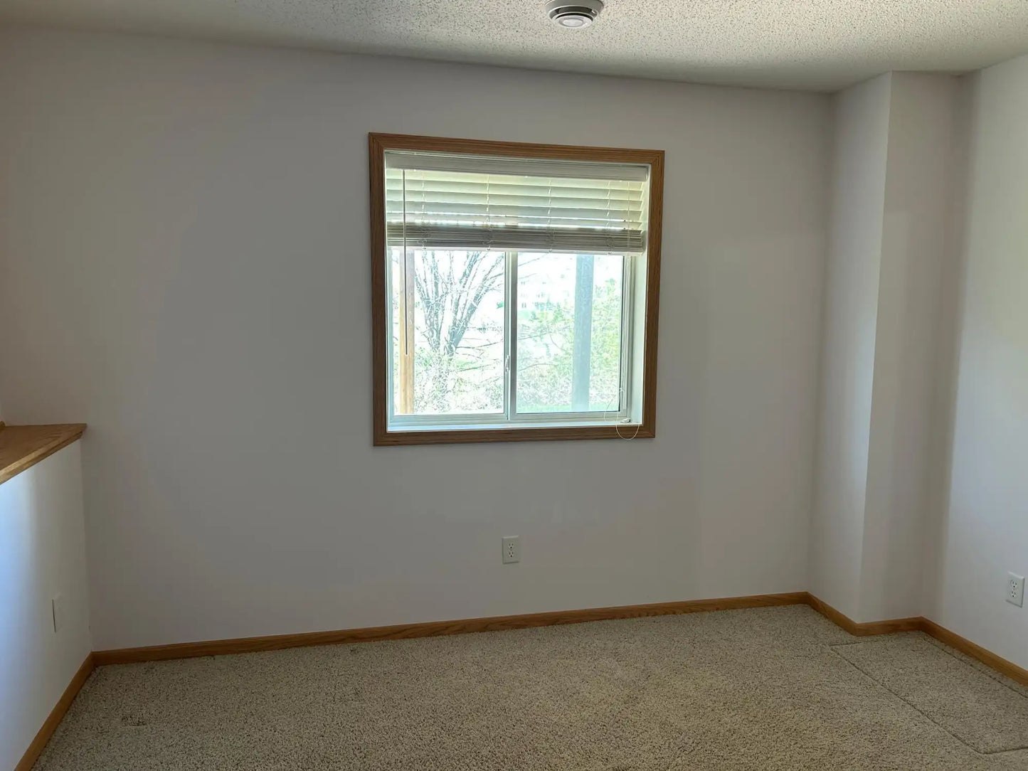 15820 Cicerone Path, Rosemount, MN 55068