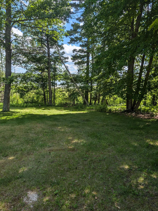 XXXX Lantern Lane , Hackensack, MN 56655