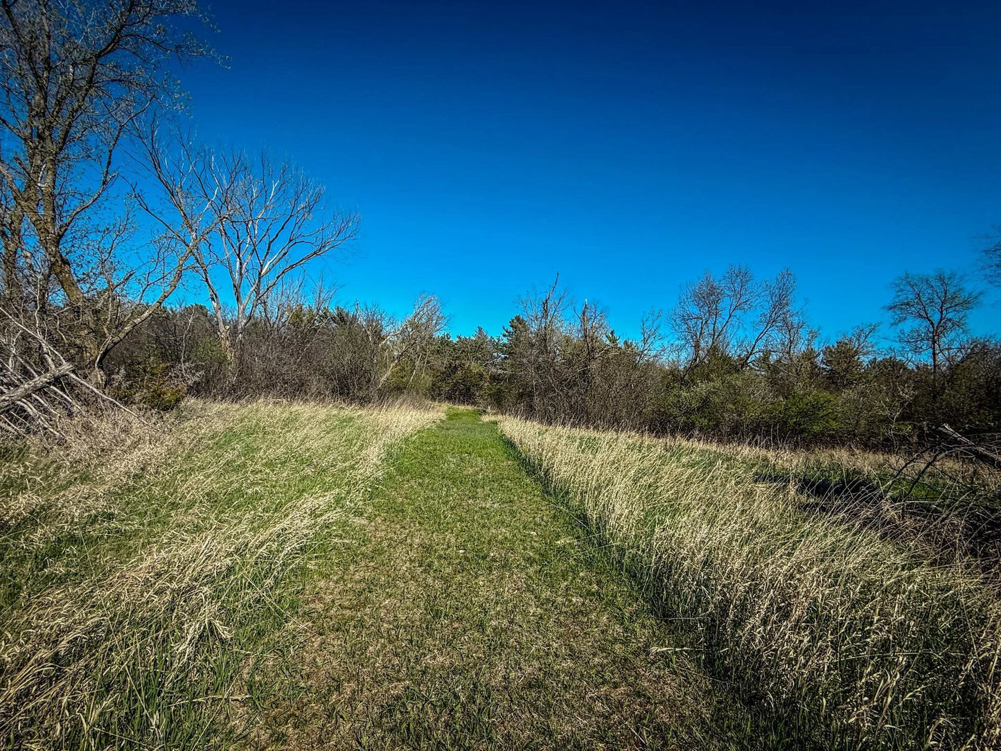 xxx County 14 Boulevard, Cannon Falls, MN 55009