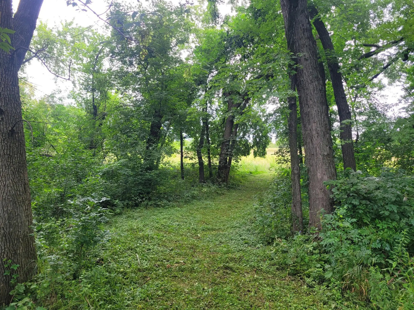 2999 Weston Way, Hanover, MN 55341