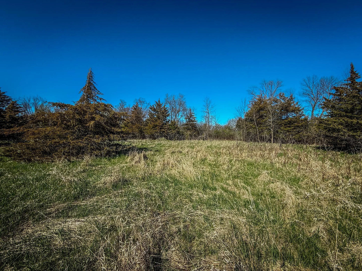 xxx County 14 Boulevard, Cannon Falls, MN 55009