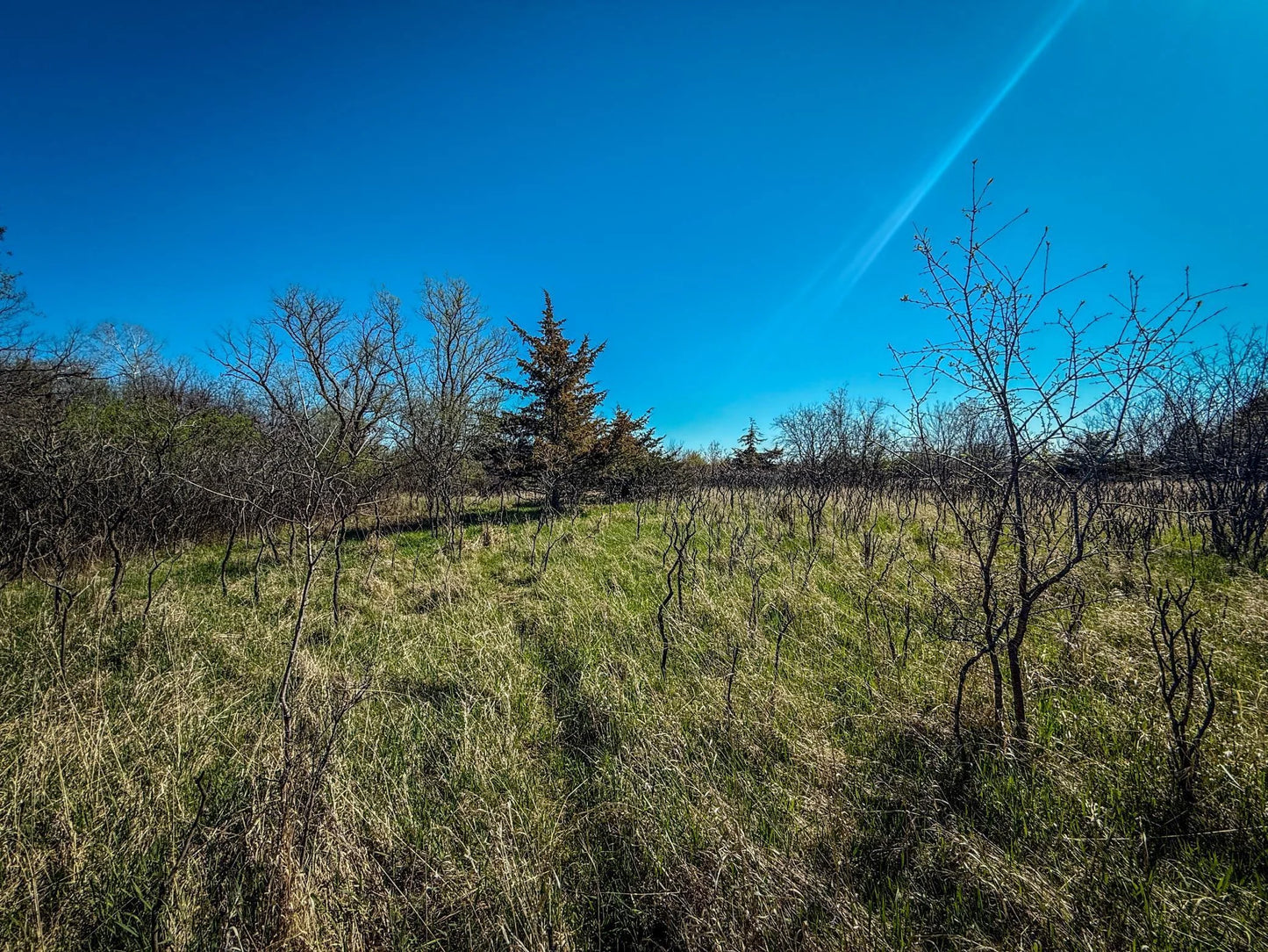xxx County 14 Boulevard, Cannon Falls, MN 55009