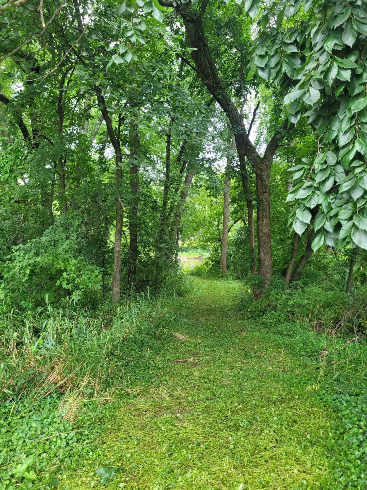 2663 Weston Way, Hanover, MN 55341