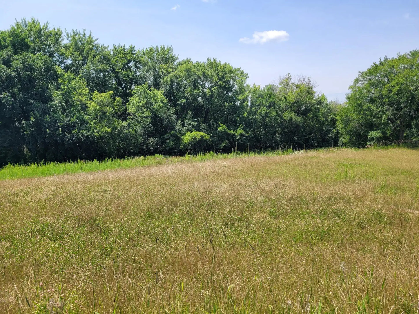 2999 Weston Way, Hanover, MN 55341