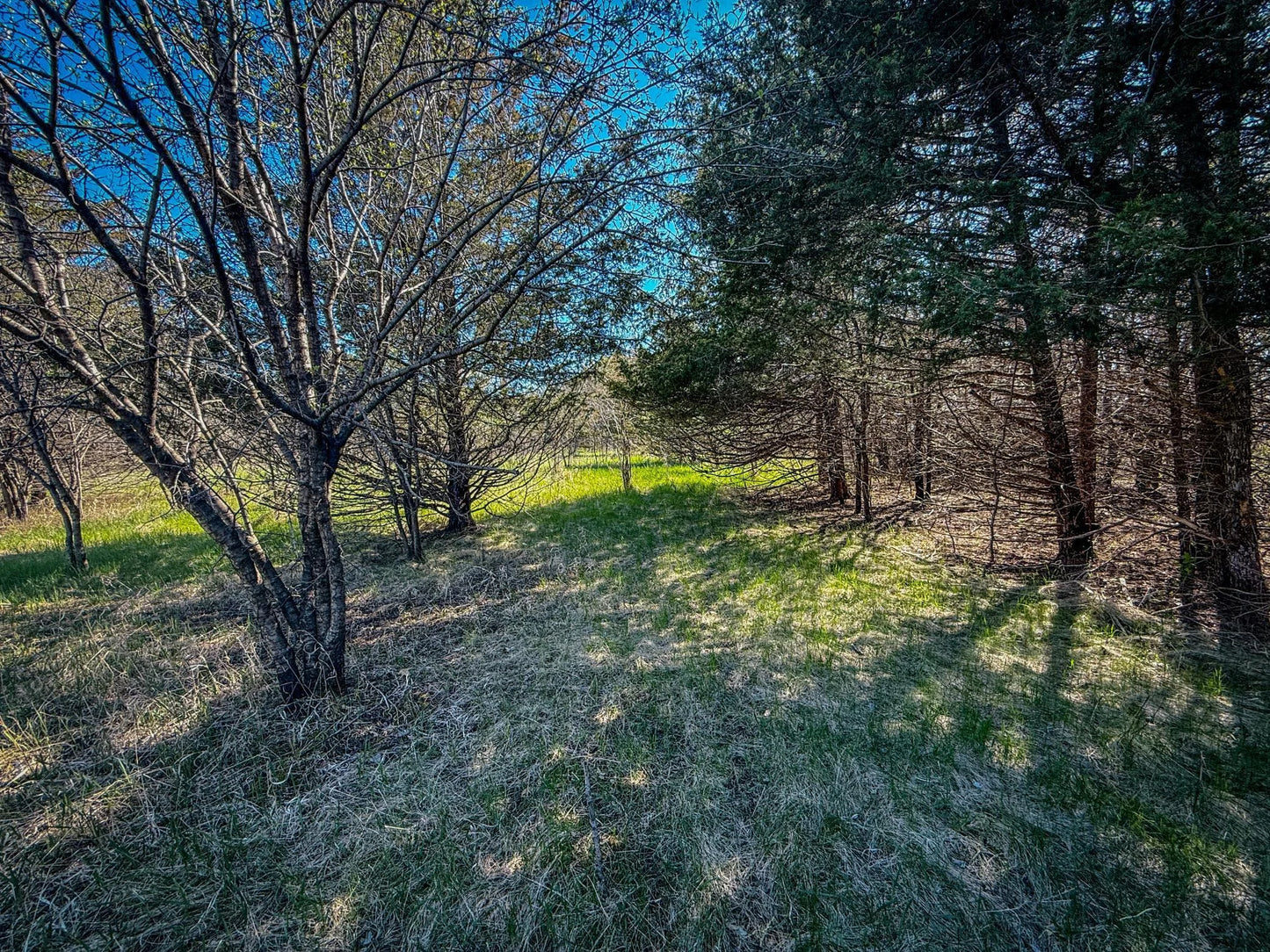 xxx County 14 Boulevard, Cannon Falls, MN 55009