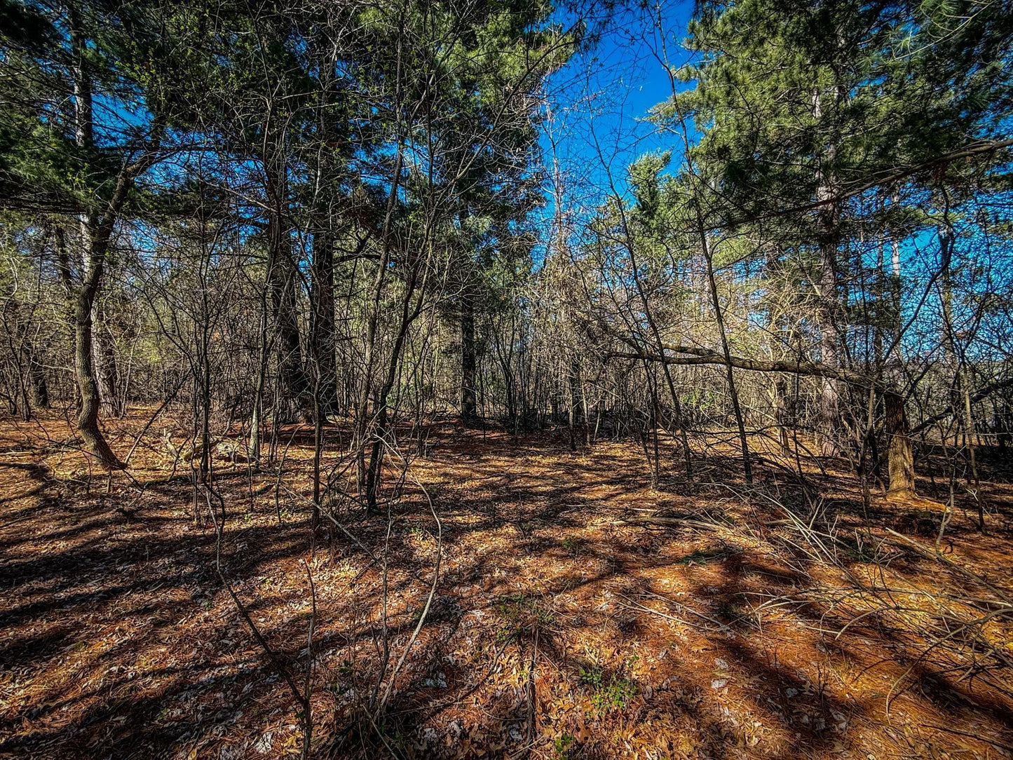 xxx County 14 Boulevard, Cannon Falls, MN 55009